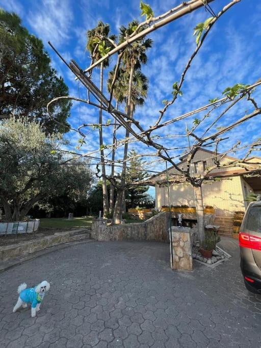 Casa Parra Villa Deltebre Luaran gambar